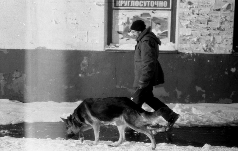 Есть повод у поводыря 