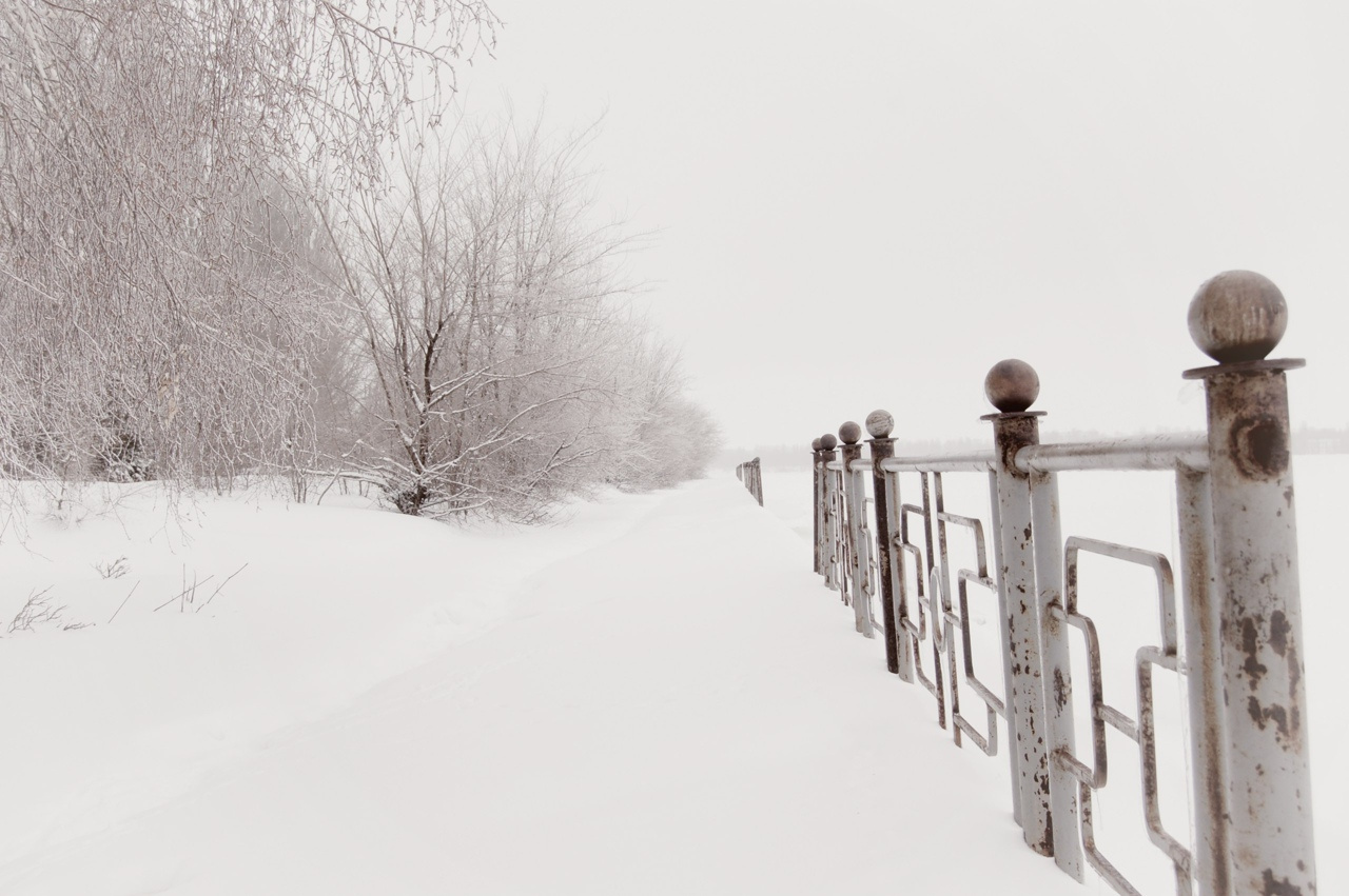 White silence landscape winter snow