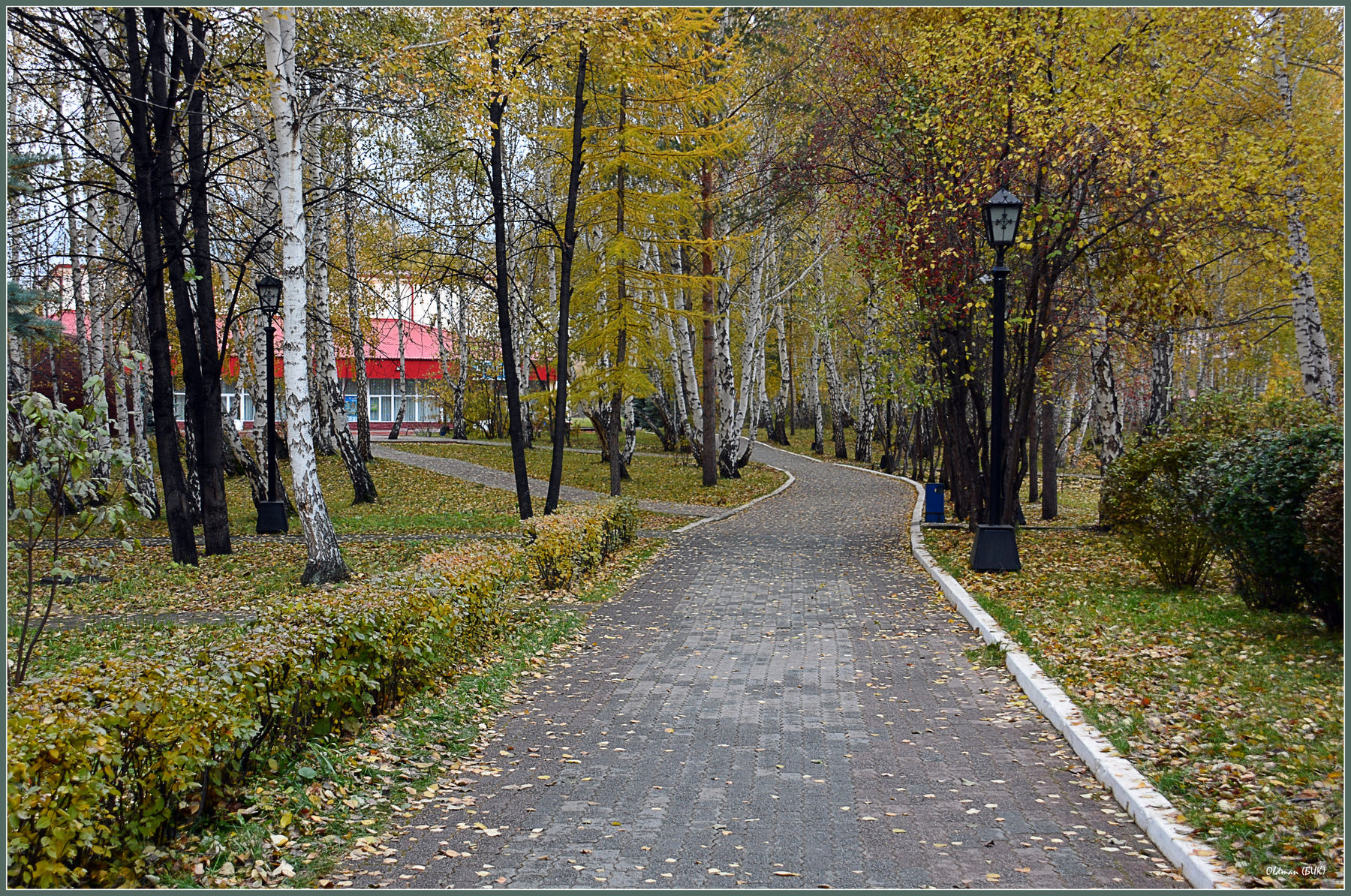 Краски осени 6 осень оз.Банное дом отдыха Юбилейный
