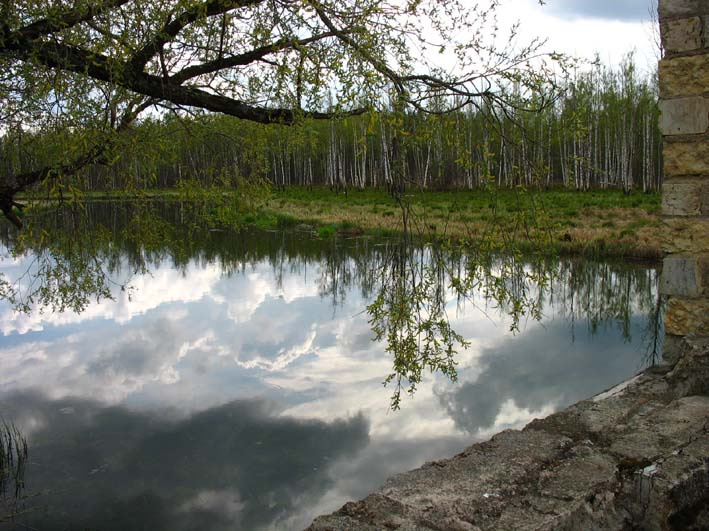 старый парк река