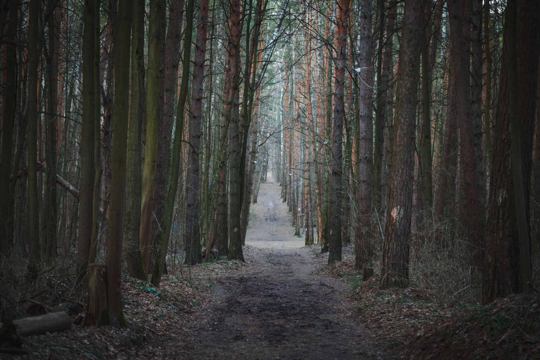 *** 