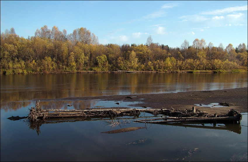 Осенняя прогулка по р.Локчим. Р.Локчим, октябрь,небо ,деревья.