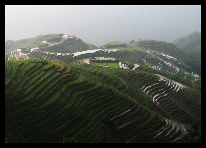 heaven farmland heaven farmland туман рано утром до восхода солнца Китай