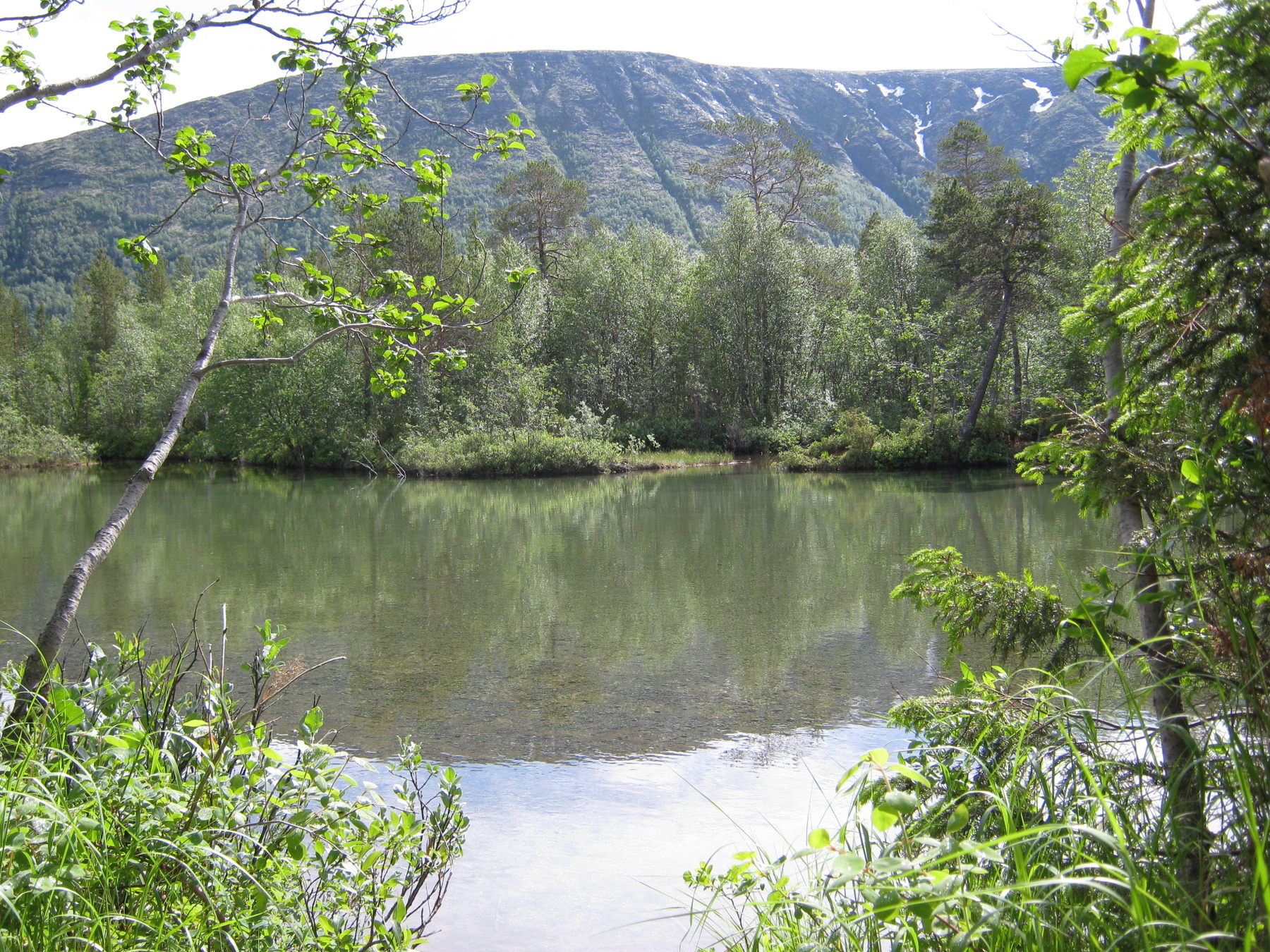 Куна редко бывает такой Река, Куна, Имандра, Хибины, Пайкунъявр, озеро, 