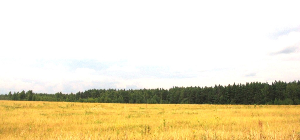 солнечные дни......... 