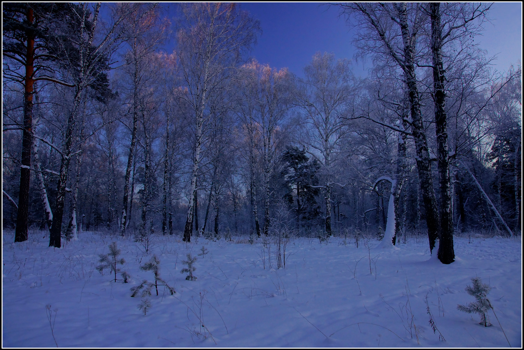 Декабрь. holod