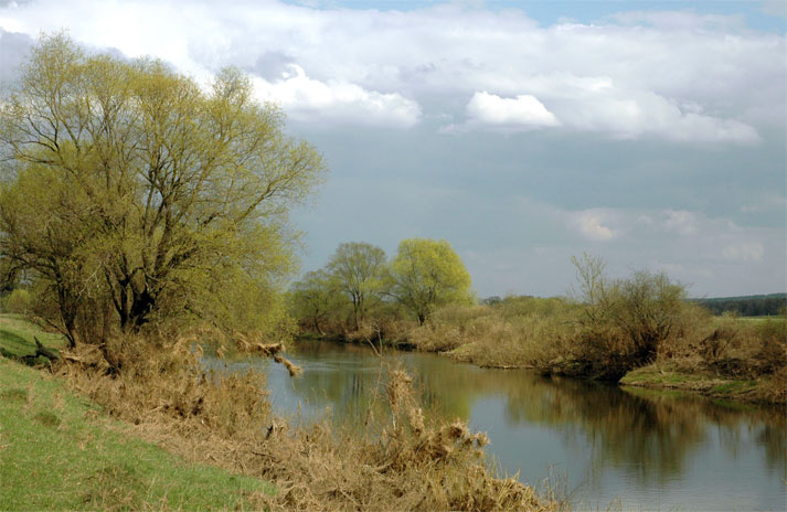 осенний оттенок весны вода река весна тепло