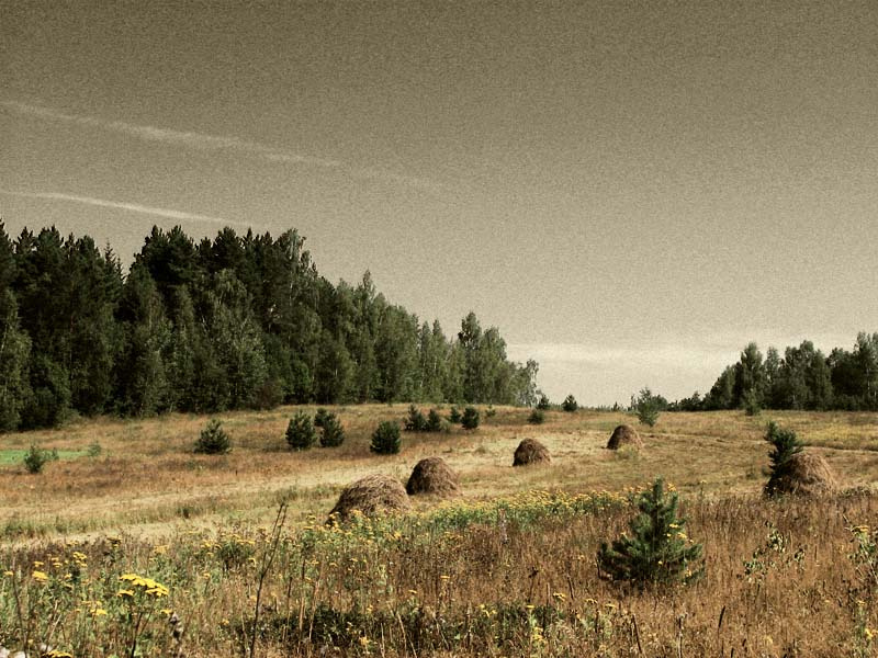 meadow сенокос, стог