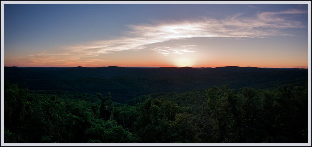 Ozark Forest 