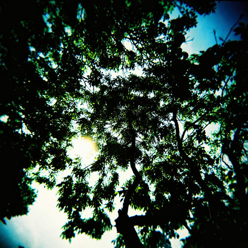 phoenix cylinder lomo we love