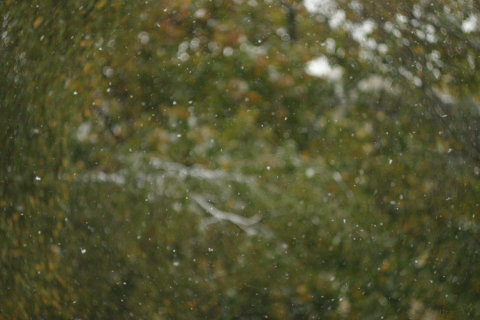 first snow snow