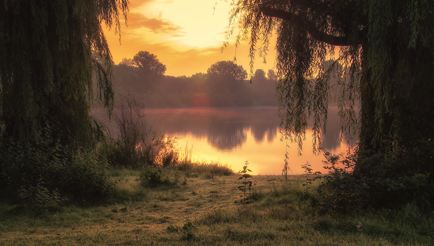 *** 