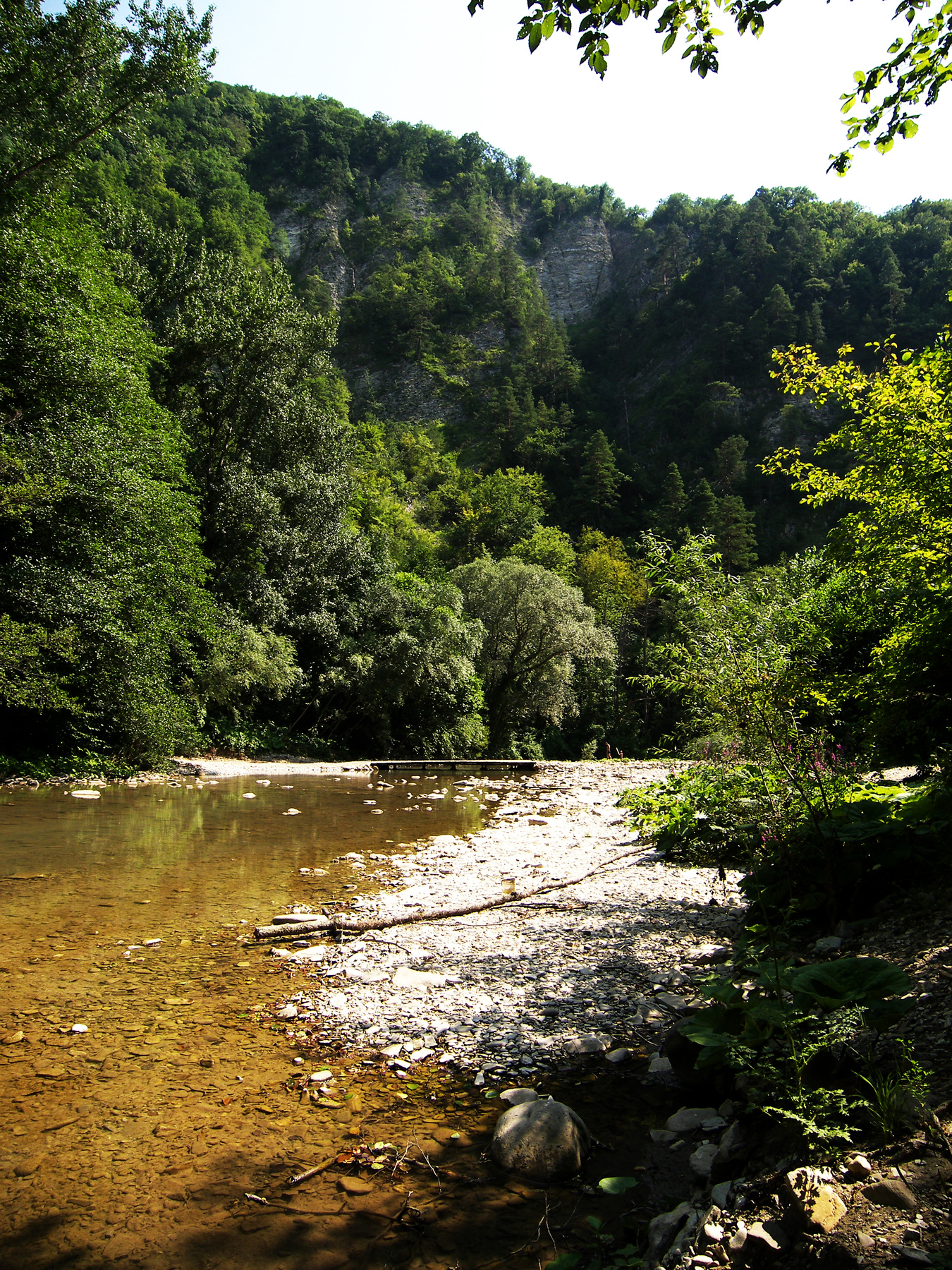 Горная река 