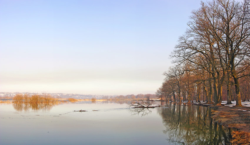 Полая вода половодье