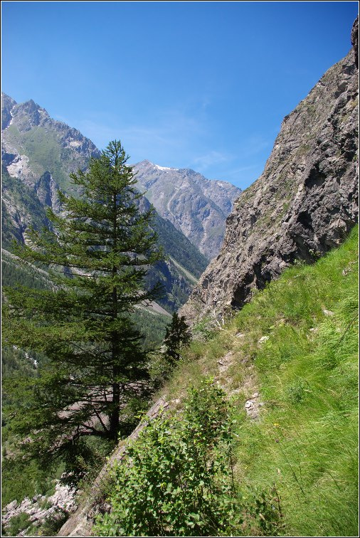 альпийская 