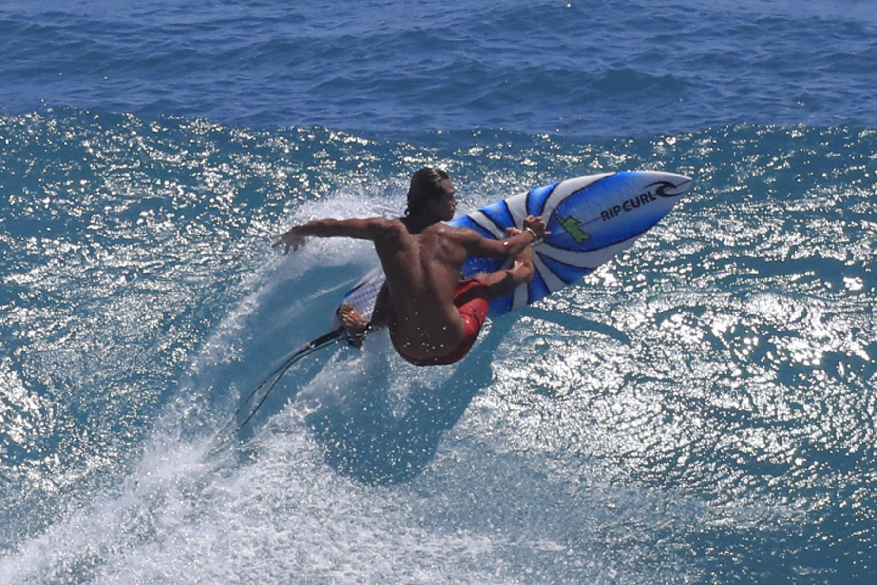 Surfer 