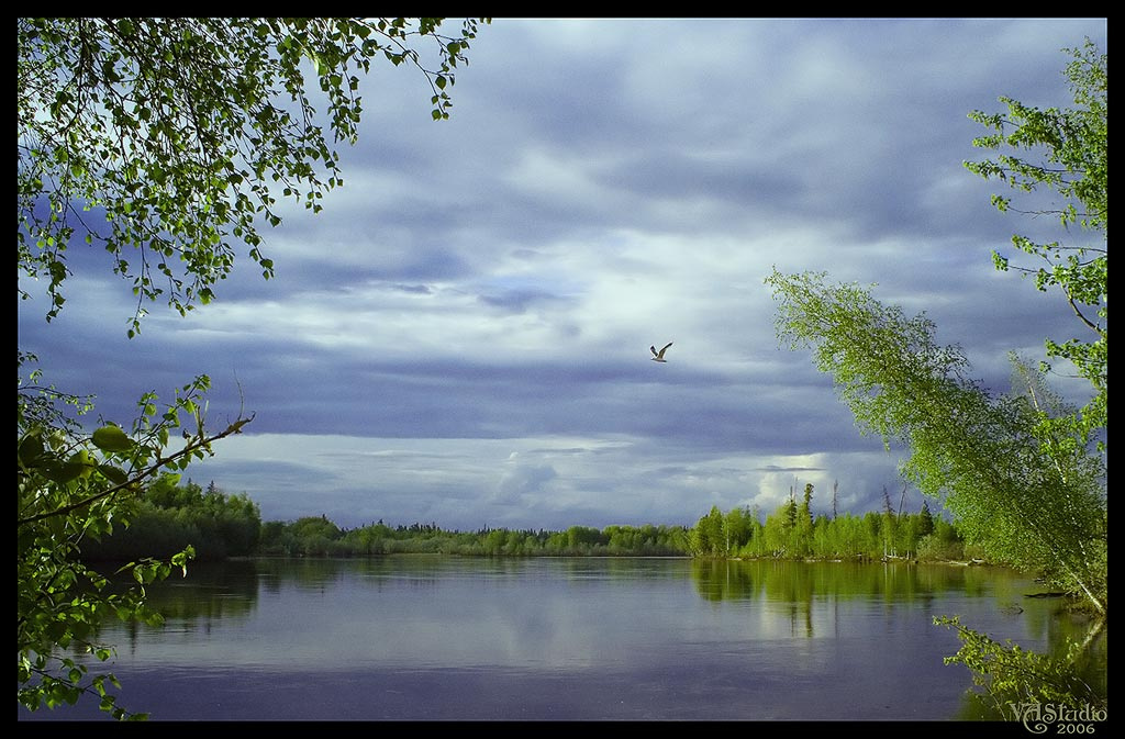 silence вода лес небо