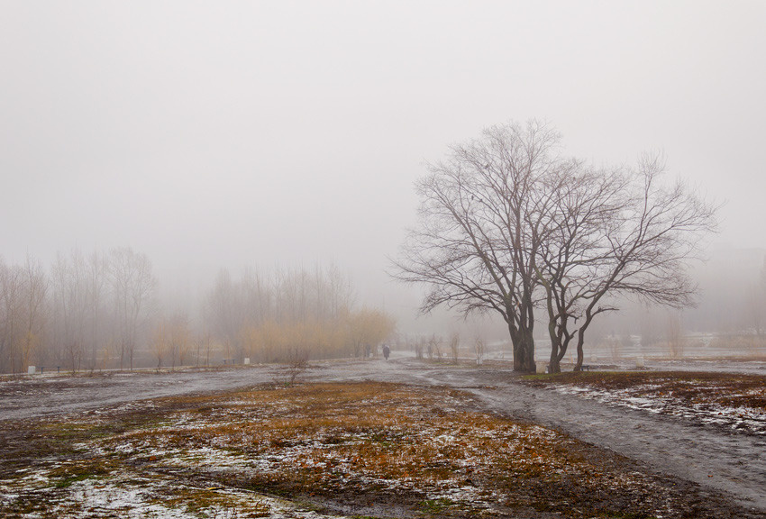 Поздняя осень Самара,осень,туман