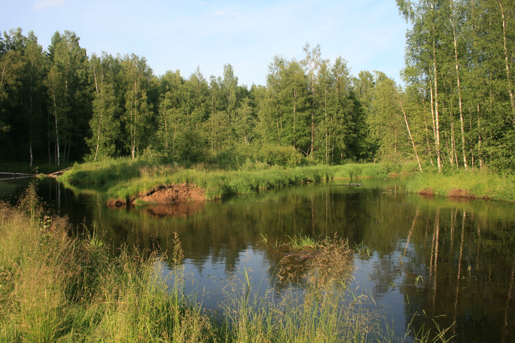 Wald Fluss Wald Fluss