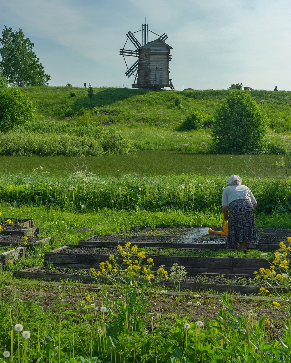 Огород 