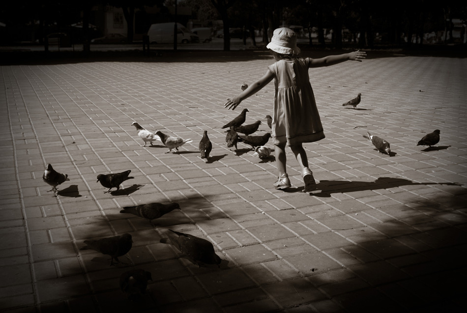 I wish I could fly... 