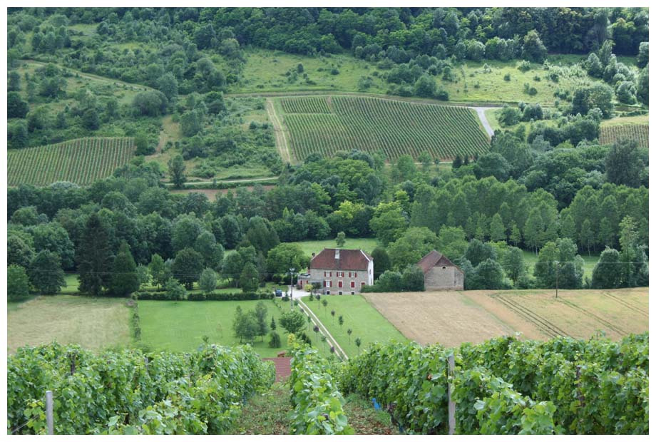 Виноградник франция france юра jura виноградник vignoble