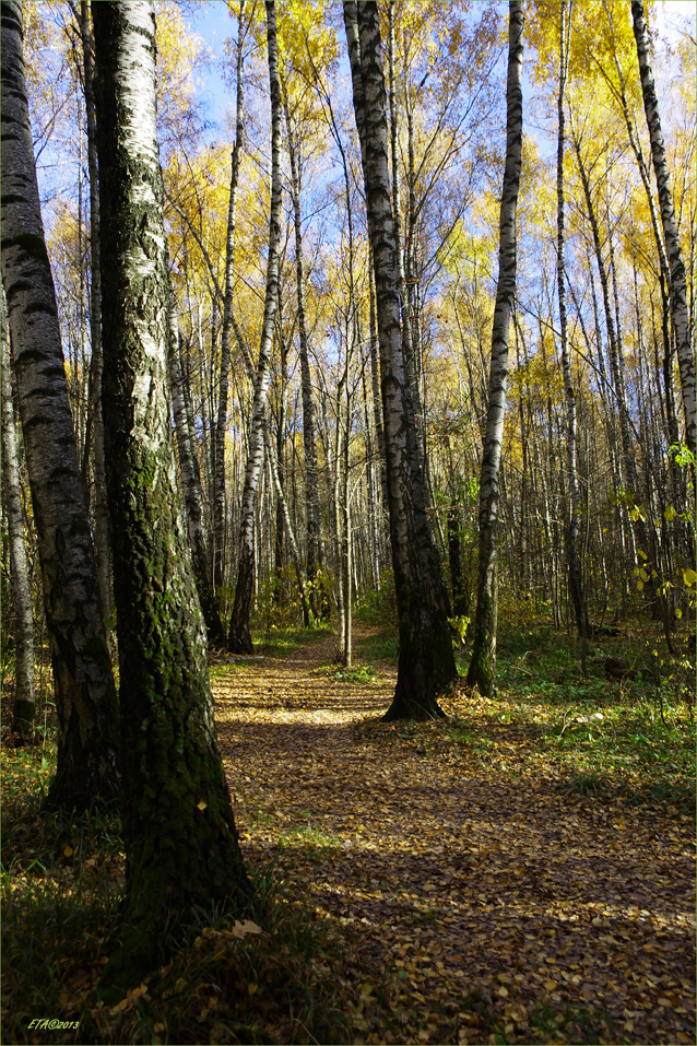 Осеннее 