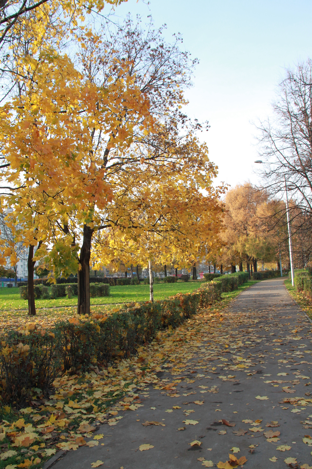 Осень 2012 Осень 