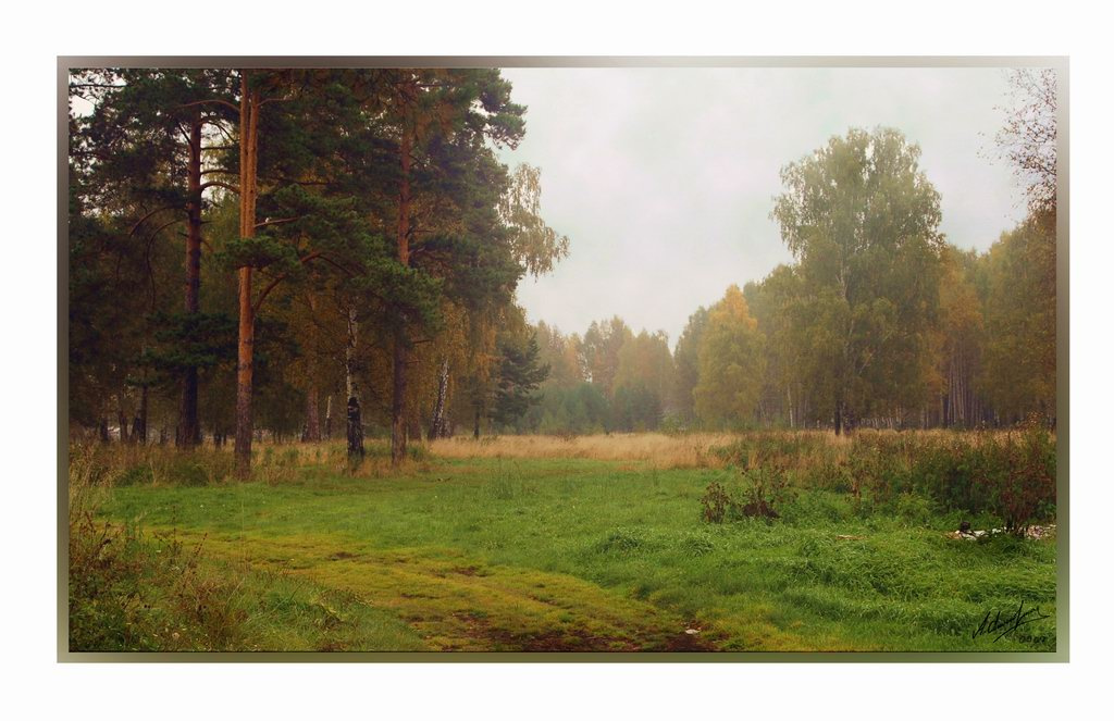 Осенний гобелен осень, туман