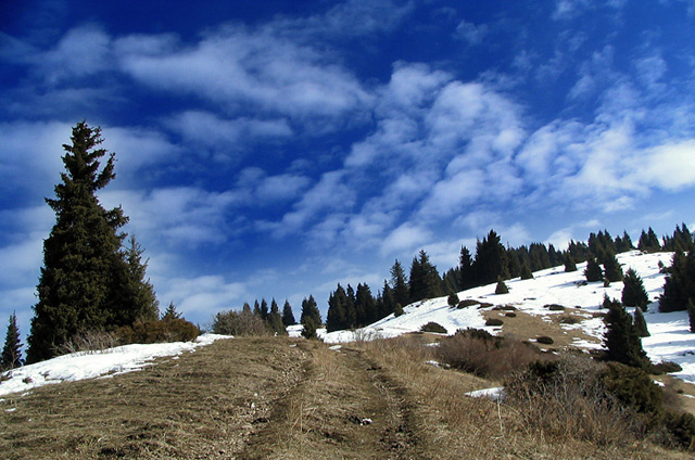 По дороге с облаками Горы, облака
