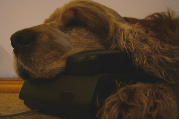 Waiting for ur call.. 