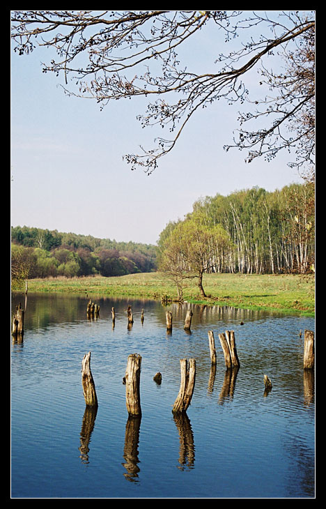 весенние красоты весна вода утро