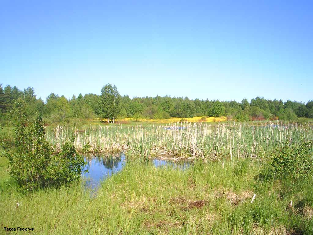 Весна в Карелии Весна в Карелии