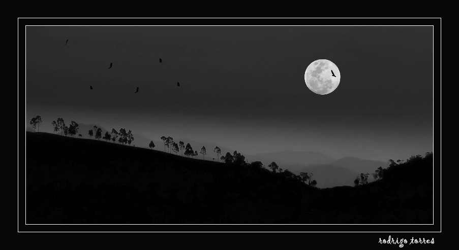 moonlight (Brazil) - [reloaded] Brazil Бразилия moon луна mountain гора
