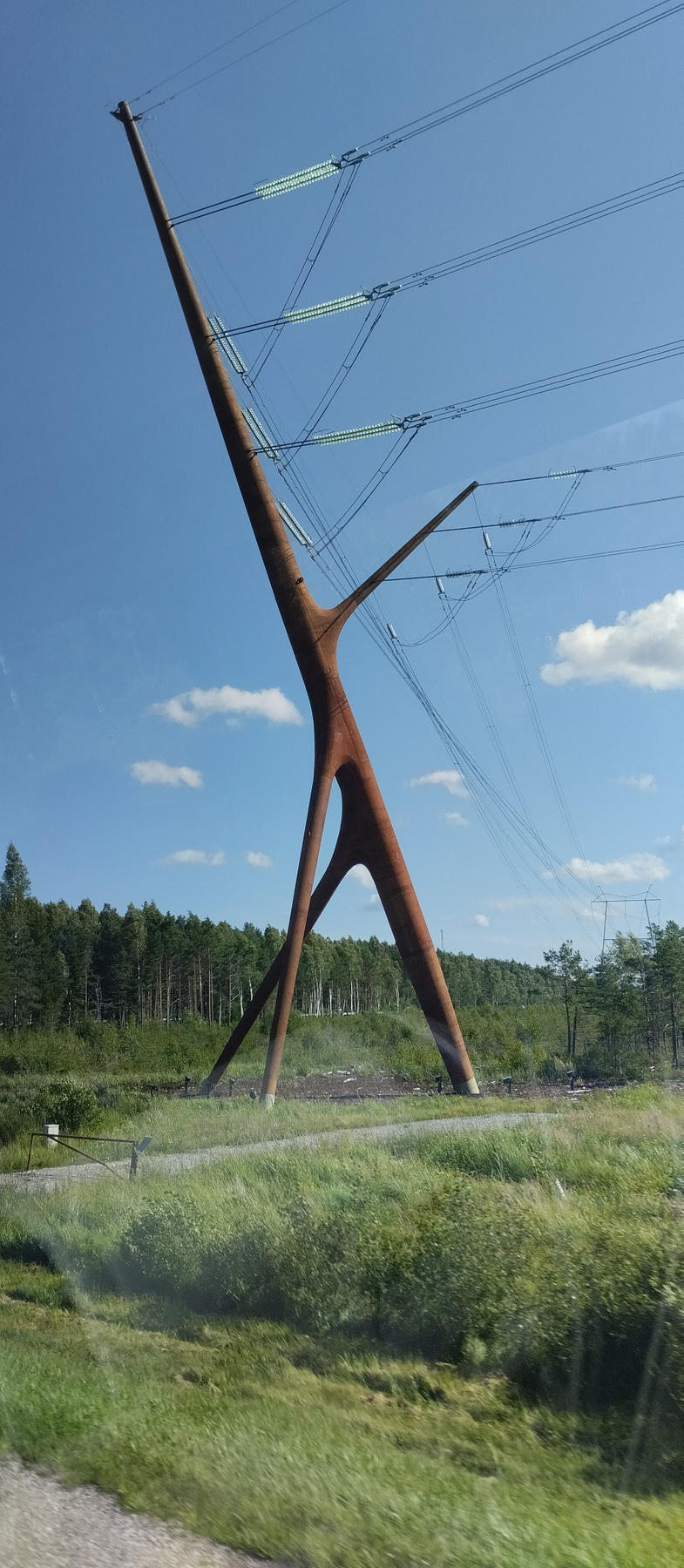 Столб. Эстония. столб Эстония