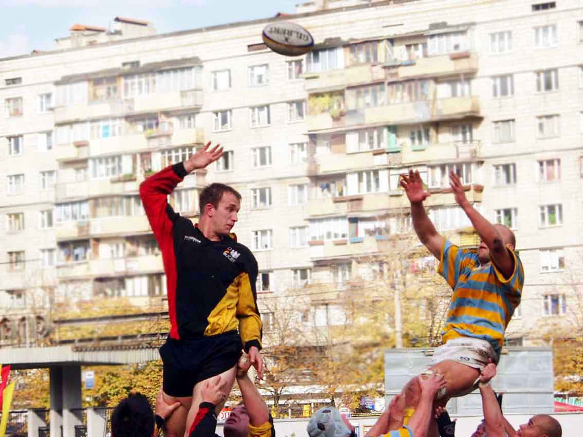 регби1 