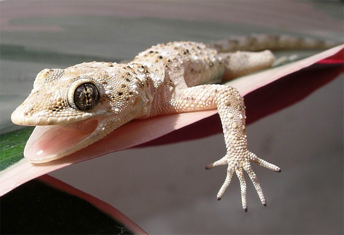 give me five... 