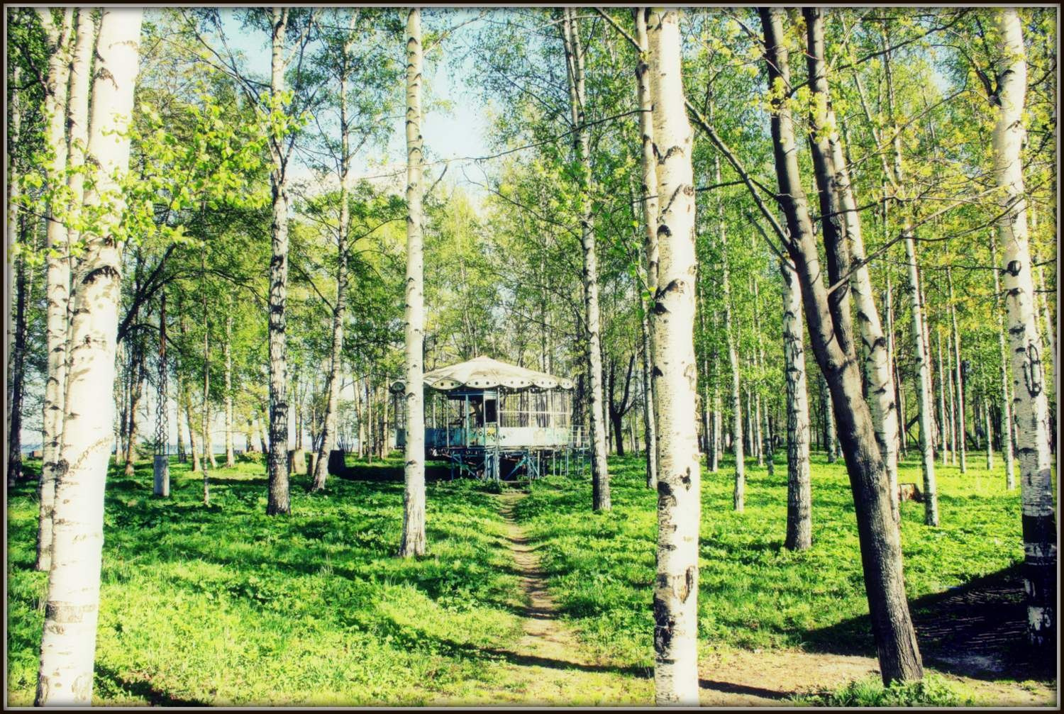 Саммертайм природа петрозаводск карелия