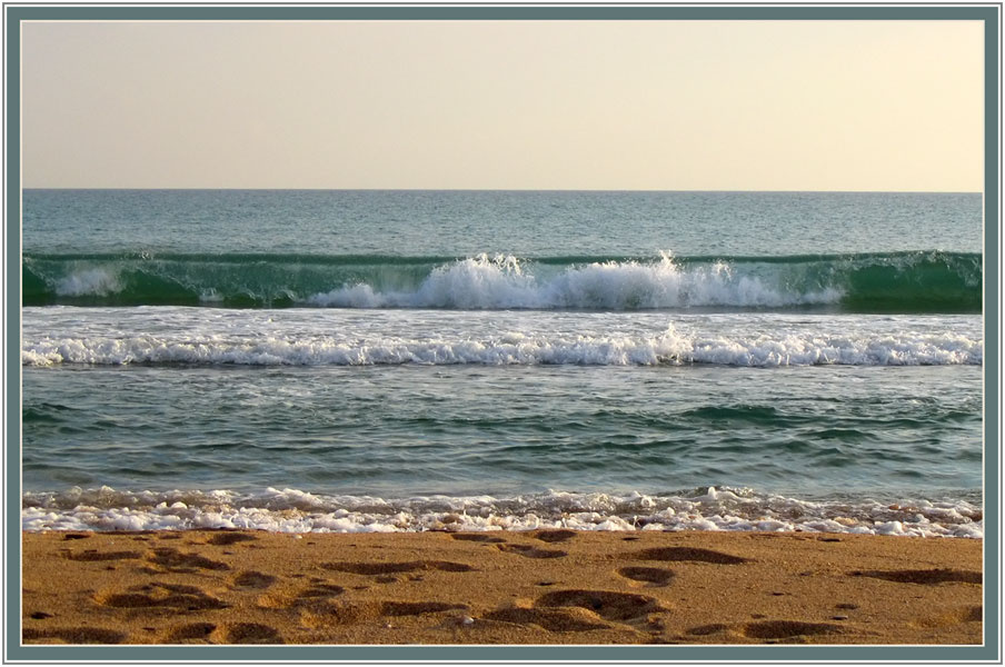 seashore 
