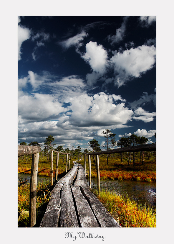 ~ My Walkway ~ 
