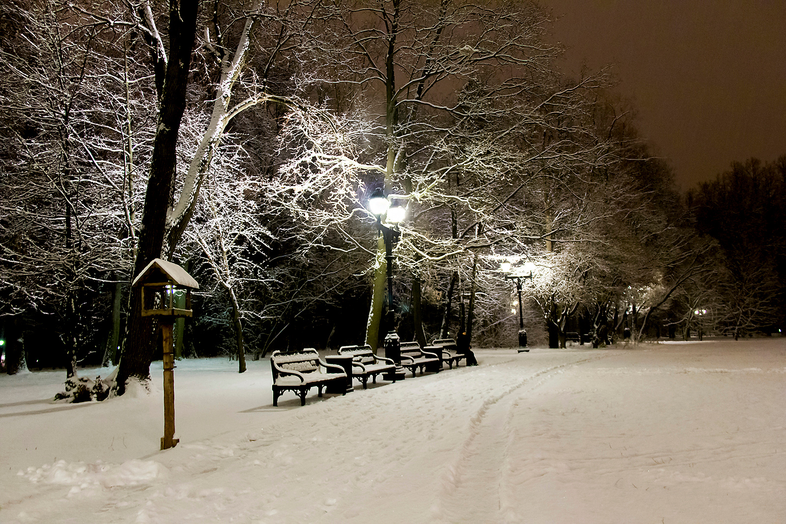 В парке 