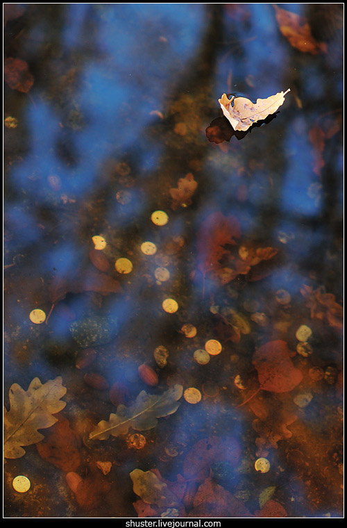 Nature morte осень