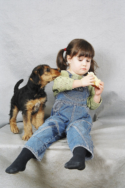 Ну дай бутер-то, ну кусочек!! девочка, бутер, щенок.