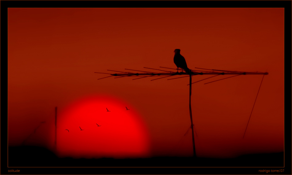 solitude 