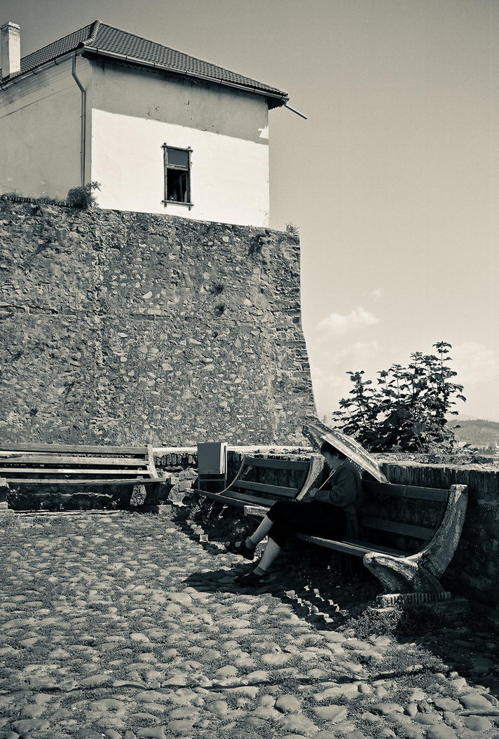 Тихая жизнь 