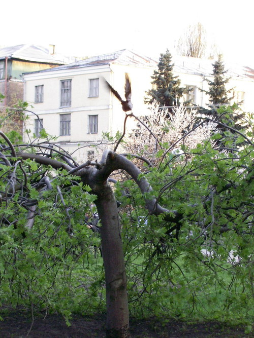 взлет излет