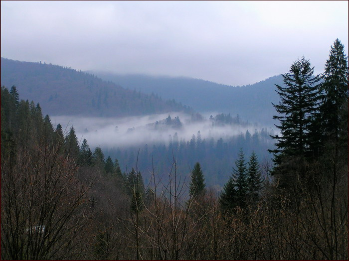 Карпаты 