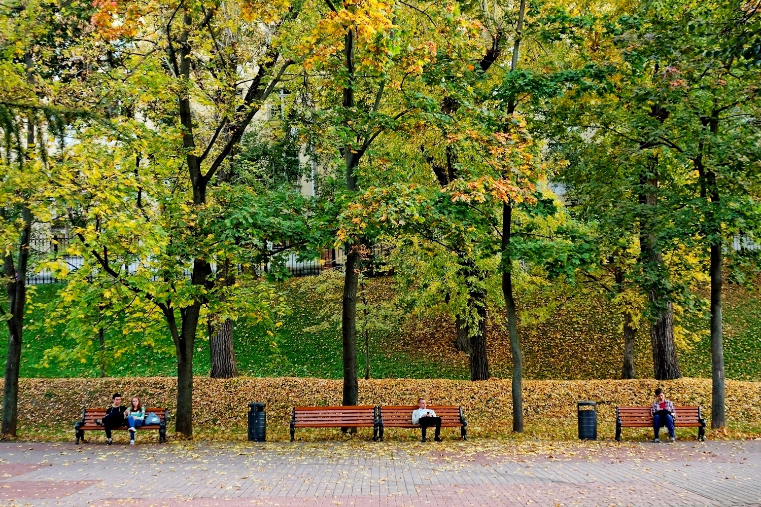 тёплый день в октябре 