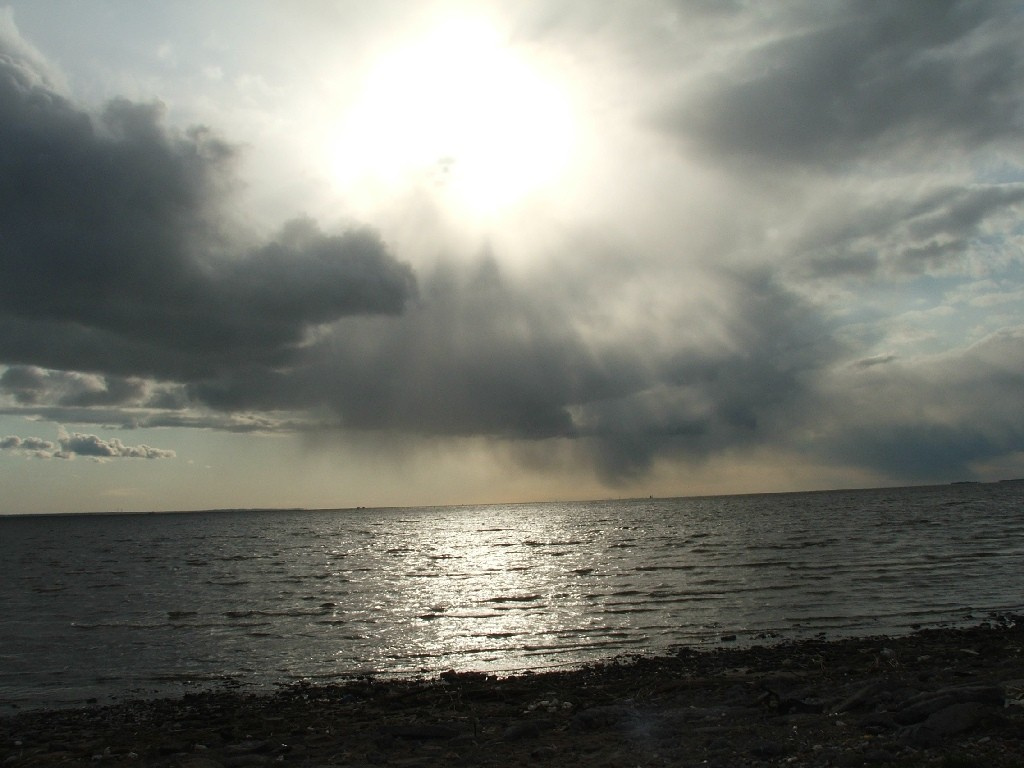 Финский залив финский залив, вода, озеро