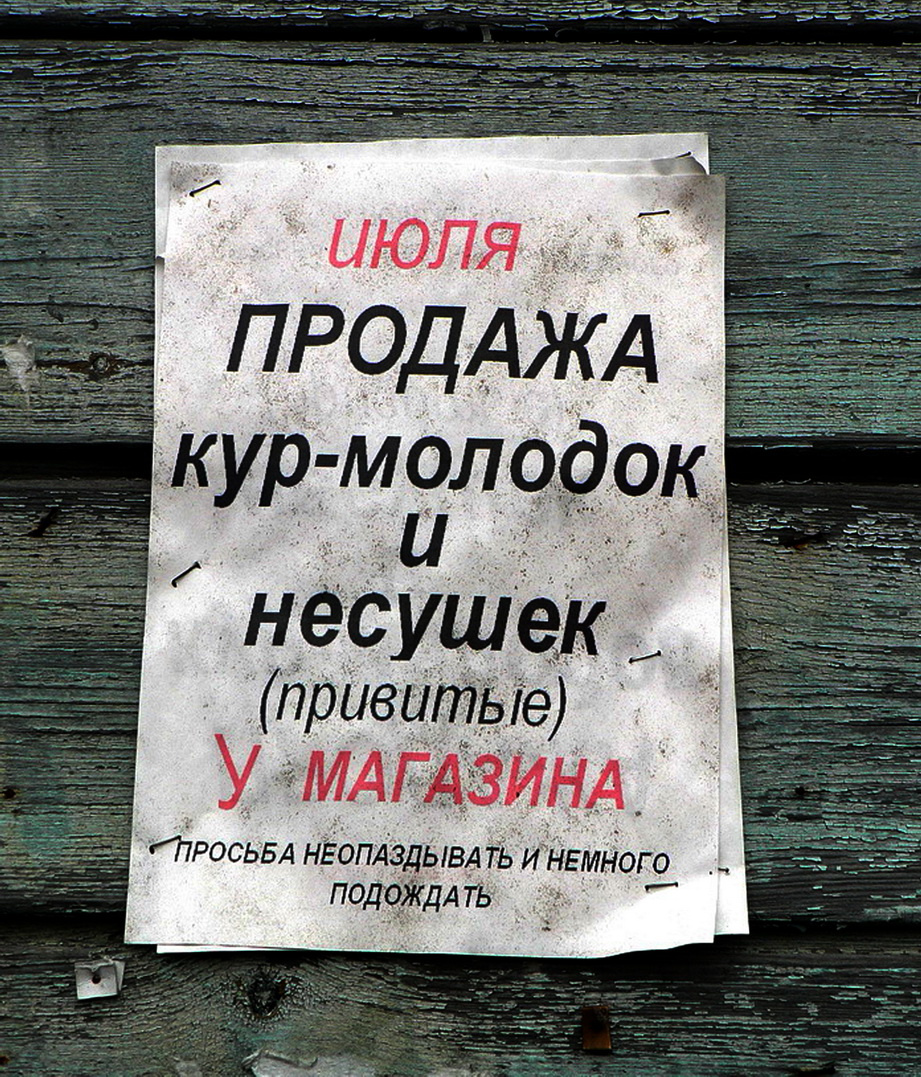объявление объявление, юмор, текст, 